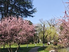 -浙江西子宾馆·瑶园咖啡厅