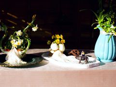 -共青国家森林公园-售票处