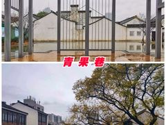 -中华恐龙园