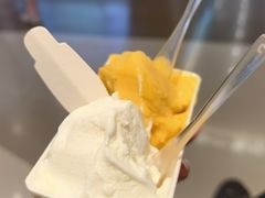 -野人先生现做冰淇淋(北京王府井东方新天地店)