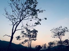 -白石龙音乐公园
