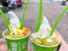 -Salud撒露欧洲冻酸奶(蓝色港湾店)