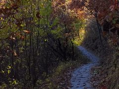 -玉渡山自然风景区