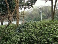 -绍兴鉴湖君澜大酒店