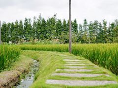 -乌村
