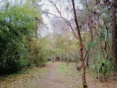 -大蜀山国家森林公园