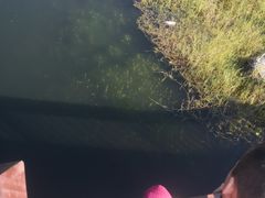 -海南热带雨林国家公园吊罗山景区