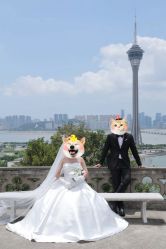 点击看大图 -金夫人婚纱摄影(华南店)