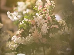 -金泽大酒店·卢塞恩餐厅·年夜饭春节连市