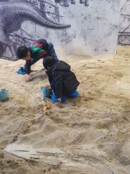 -恐龙探索乐园(磁器口店)