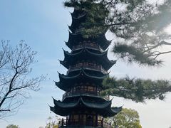 -龙华寺