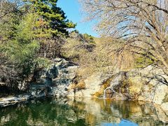 -国家植物园南园