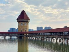 -九龙湖公园