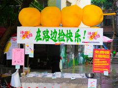 -晓港公园