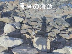 -野狸岛