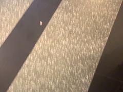 -鱼酷活鱼烤鱼(梅江印象城店)