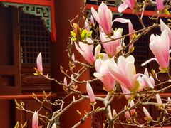 -潭柘寺景区