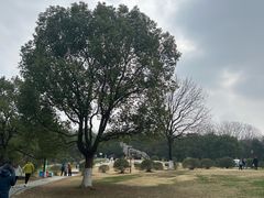 -南京市江宁方山