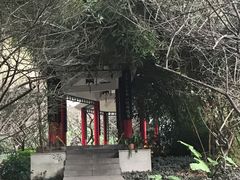 -金鸡山公园