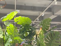 -好妈王饺子(滂江街店)