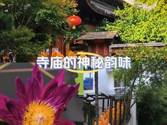 -龙华寺