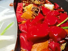 -阳阳老火锅(小南门店)