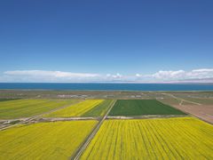 -青海湖国家重点风景名胜区