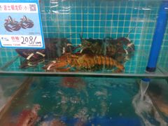 -琼大师东方烤乳猪(亚特兰蒂斯店)