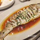 秘制酱烧大鱼头！超大号捞汁生蚝！河鲜海鲜统统归我肚子里