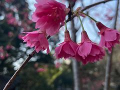 -乌山风景区