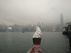 -富豪雪糕车流动点(尖沙咀店)