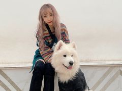 -星多哈·狗咖·拼豆·咖啡