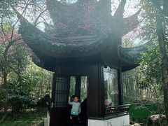 -木子山庄·安徽省老字号·中国炖锅宴