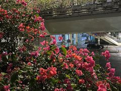 -南宁国际会展中心(会展东博文化旅游区)