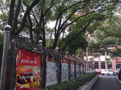 -上海科学技术职业学院