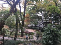 -香港大学