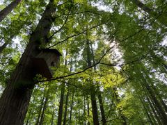 -南京金牛湖风景区