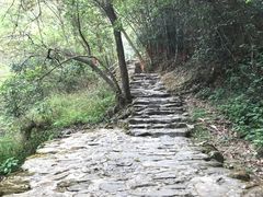 -紫云谷景区