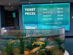 门面-瑞普利水族馆