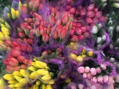 -循礼门鲜花花市(武汉循礼门店)