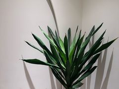 -艾通康缘艾灸.疼痛.睡眠养生馆(凤凰城店)