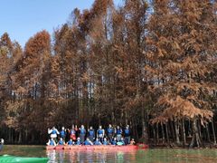 -上海海湾国家森林公园