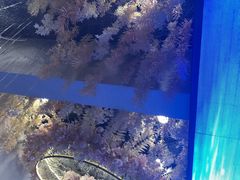 -迎宾大酒店(东北大马路店)