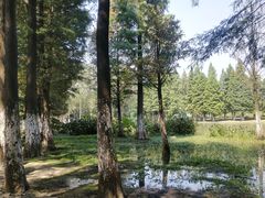-艾溪湖湿地公园