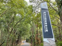 -青龙山国家森林公园