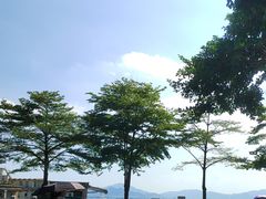 -鼓浪屿内厝澳码头(轮渡站)