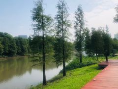 -怡海公园(桂城街道)