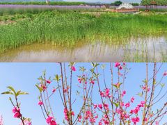 -桃花岛风景旅游区
