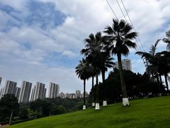 -龙头寺公园