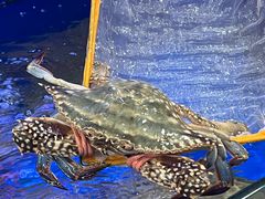 -小铜锣湾海鲜家常菜馆(河西店)